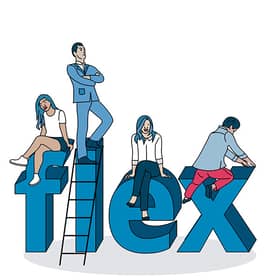 Flexibility with Fleximize