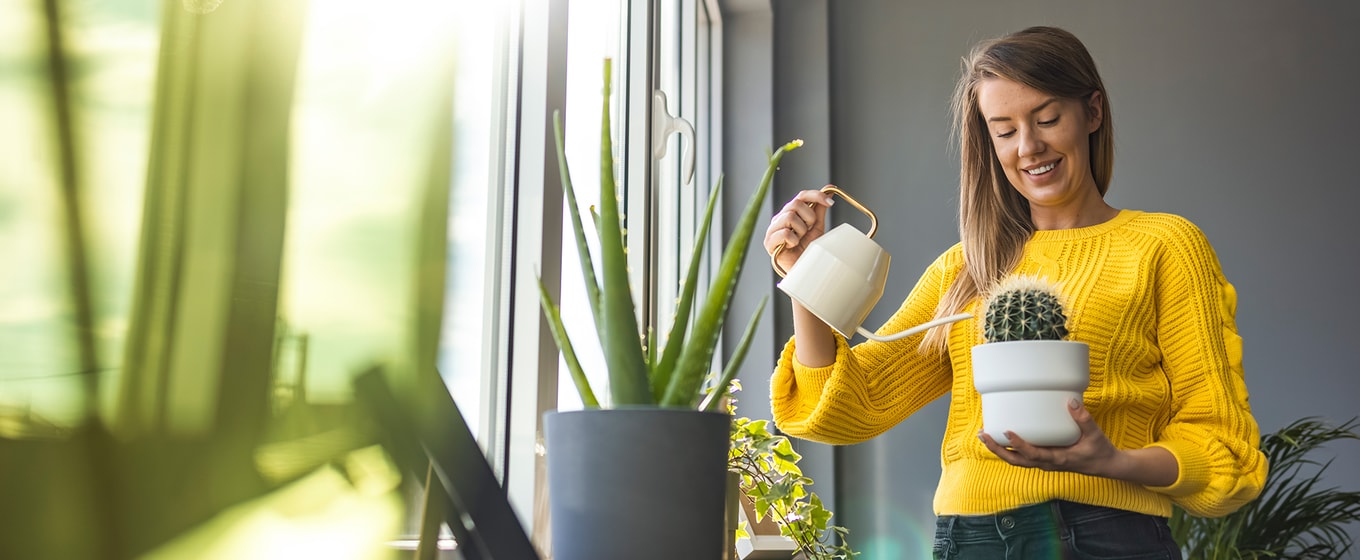 The Benefits of Business Finance Borrowing for Future Growth - Fleximize