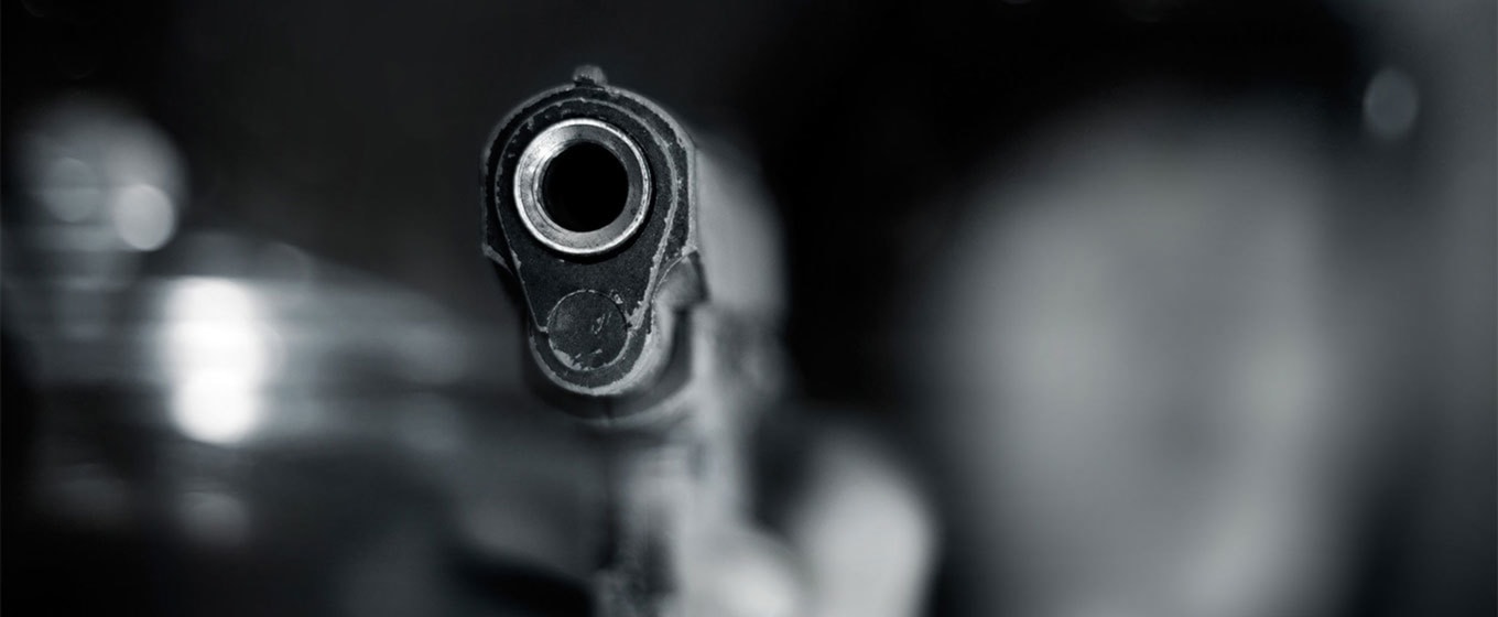Google Home, Gangsters & Gun Control - Fleximize