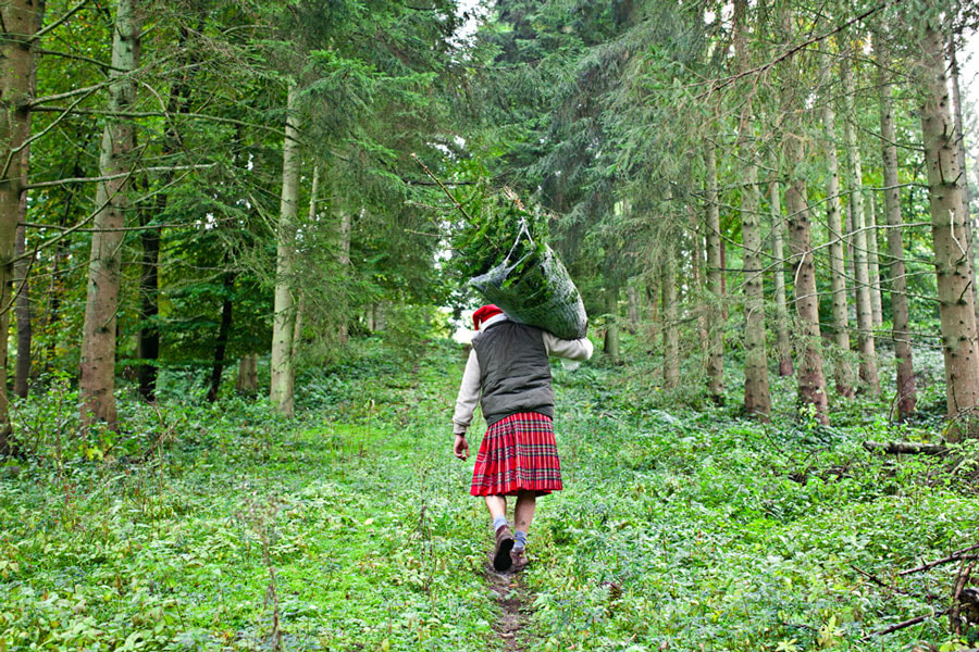 Pines and Needles started life in Scotland – this may explain the kilt uniform.